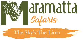 maramatta safaris logo