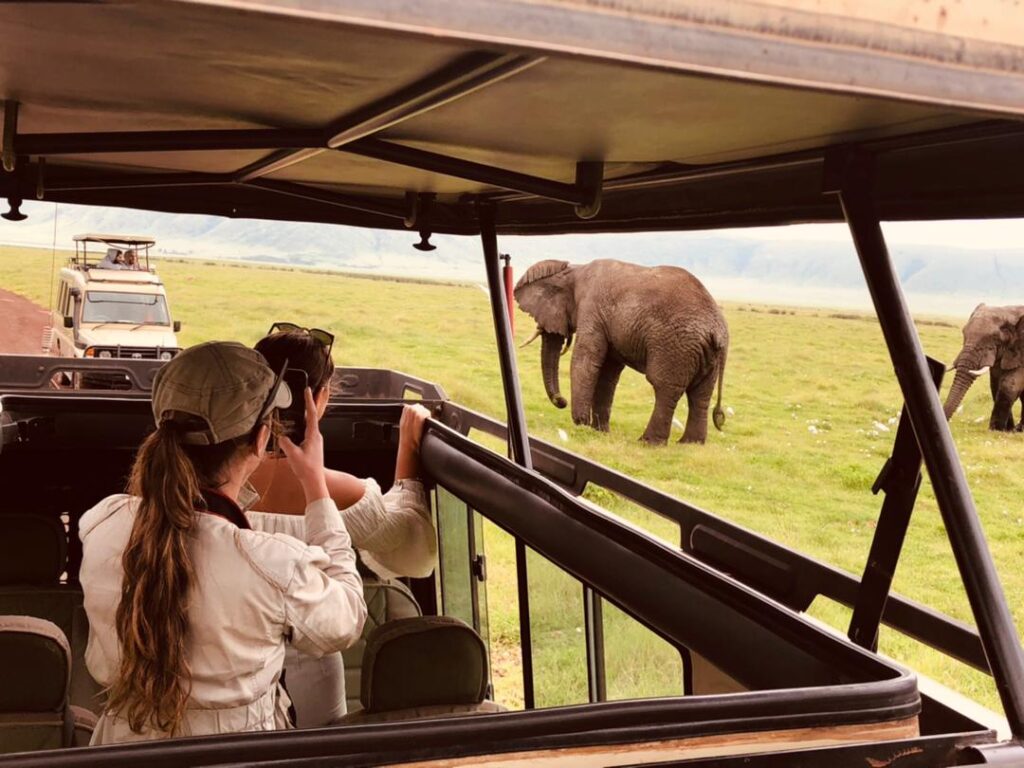 Two women inside a safari car taking photos of an elephant grazing just steps away during a luxury safari in Tanzania.