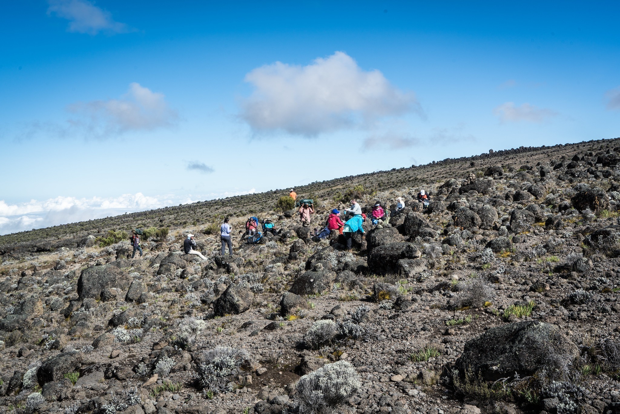 Climbers trekking through the alpine desert terrain of Mount Kilimanjaro on the Machame Route