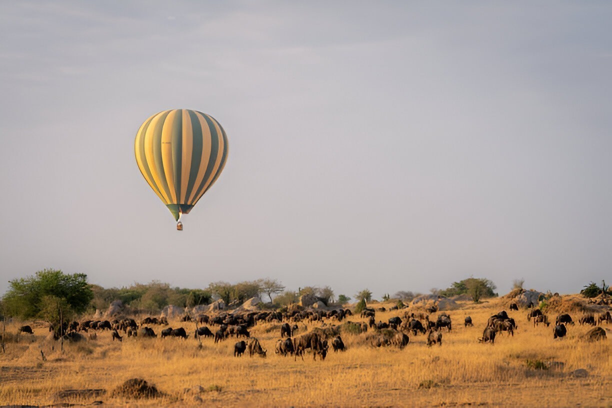 A hot air balloon hovering over the Serengeti plains with wildebeests grazing in golden grass.