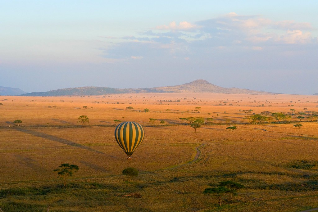 A hot air balloon starting its journey over the Serengeti, capturing the breathtaking landscapes from above.
