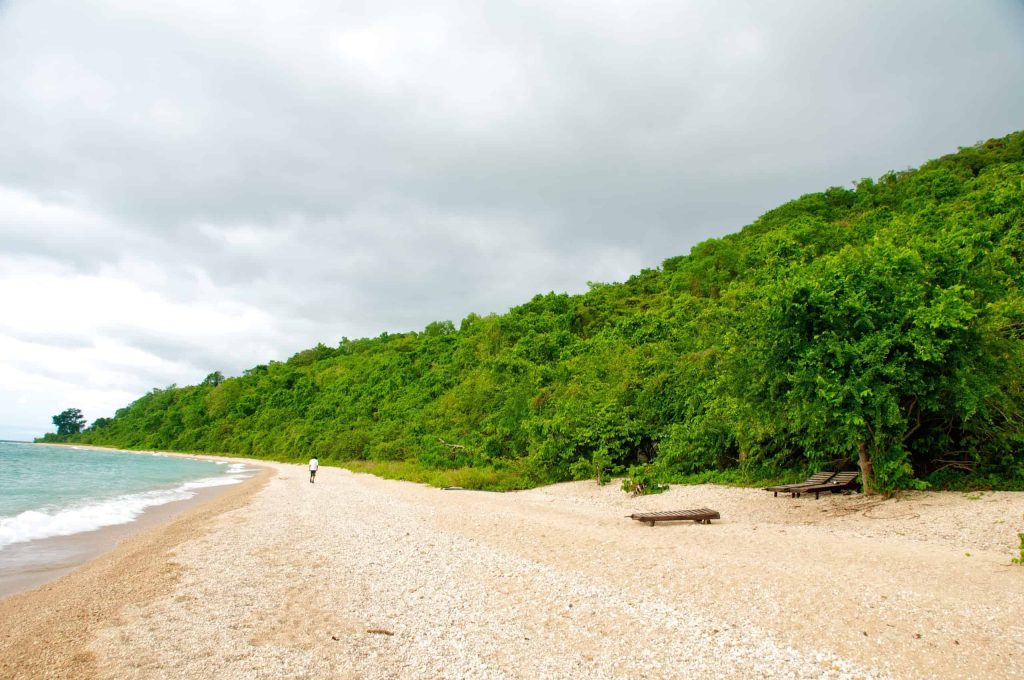 Scenic view of Lake Tanganyika’s sandy beach with crystal-clear waters and a peaceful atmosphere