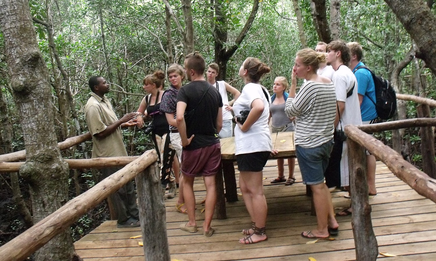 5-Day Tanzania safari budget