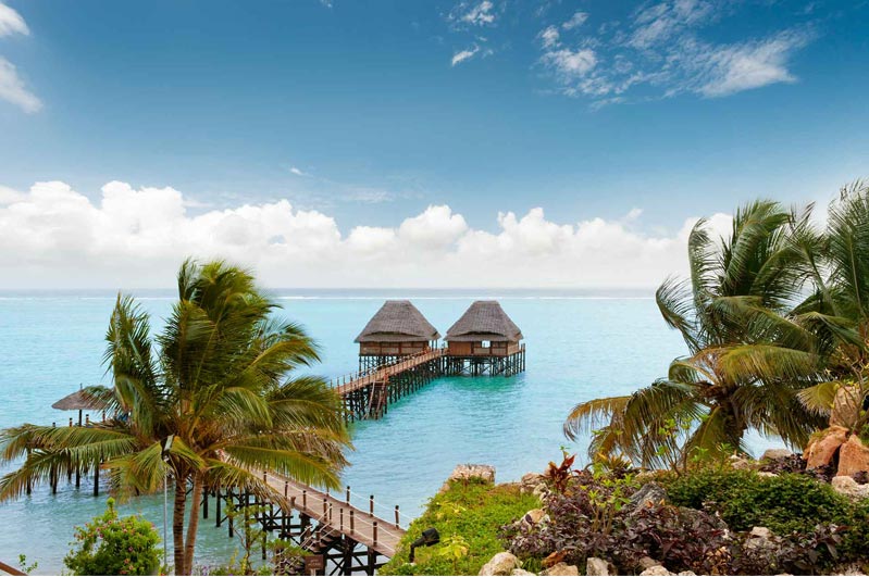 Melia Zanzibar hotel road leading to the turquoise sea, surrounded by tropical greenery.