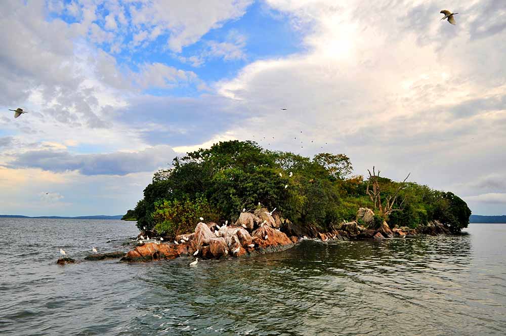 Rubondo Island National Park
