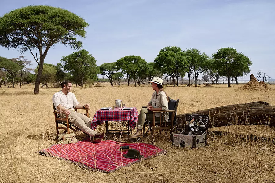Serengeti Safari wildlife
