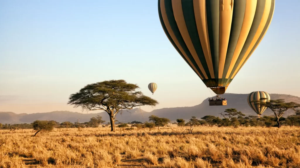 Several hot air balloons floating over the Serengeti plains, offering breathtaking aerial safari views.