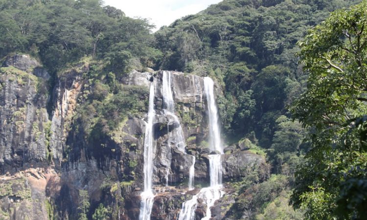 Tarangire and Waterfall Safari