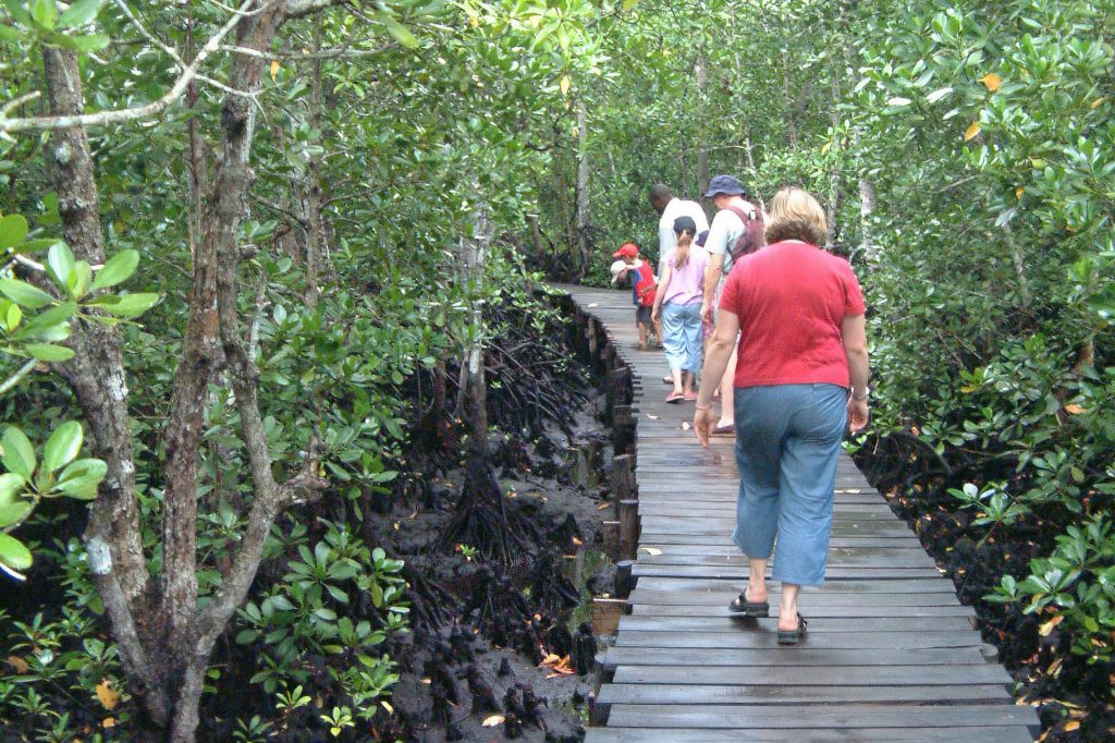 Tourists walking on a wooden bridge in Jozani Forest, surrounded by lush tropical trees.