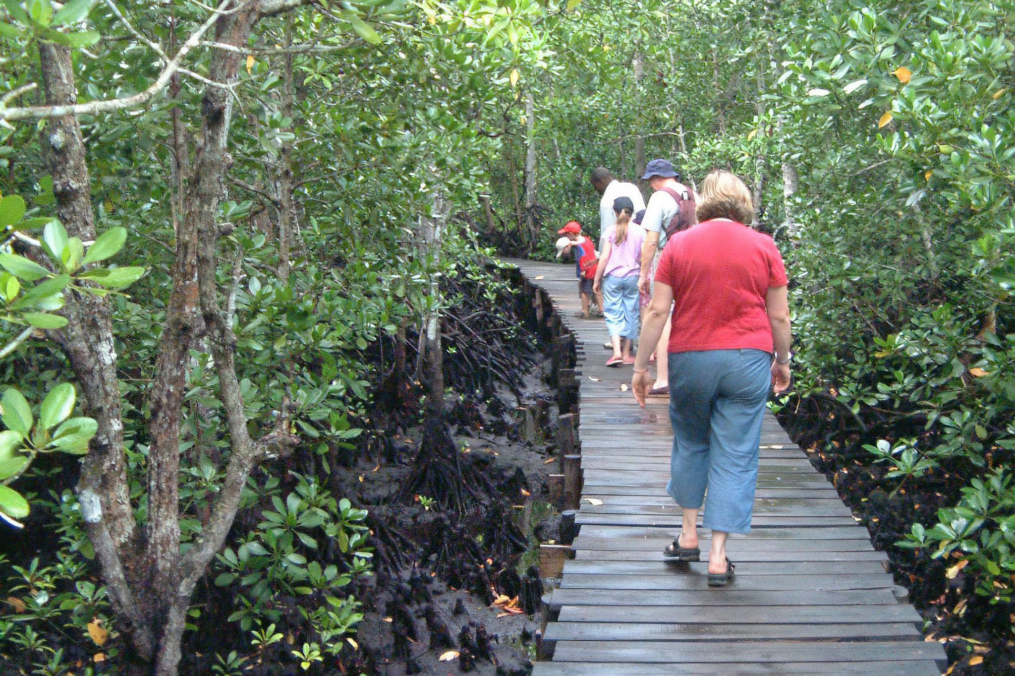 Eco friendly safari experience in Tanzania