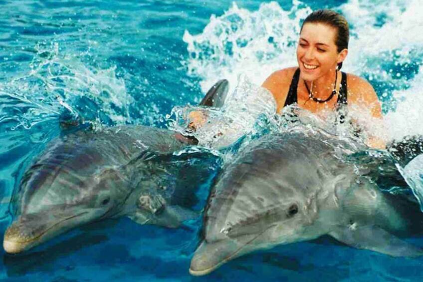 a woman swimming with dolphins zanzibar beach escape