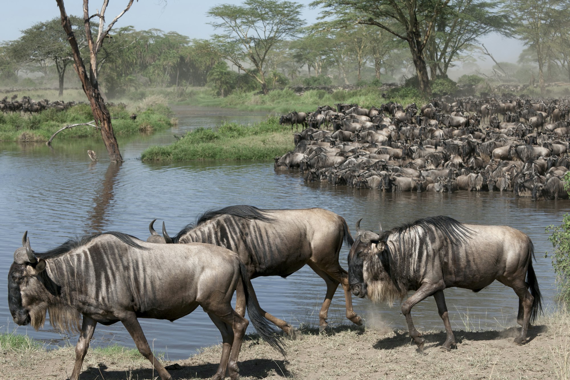 Best Time to Visit Northern Tanzania