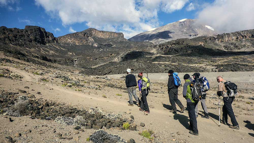 Group of climbers with backpacks and trekking poles ascending Mount Kilimanjaro via Rongai Route.