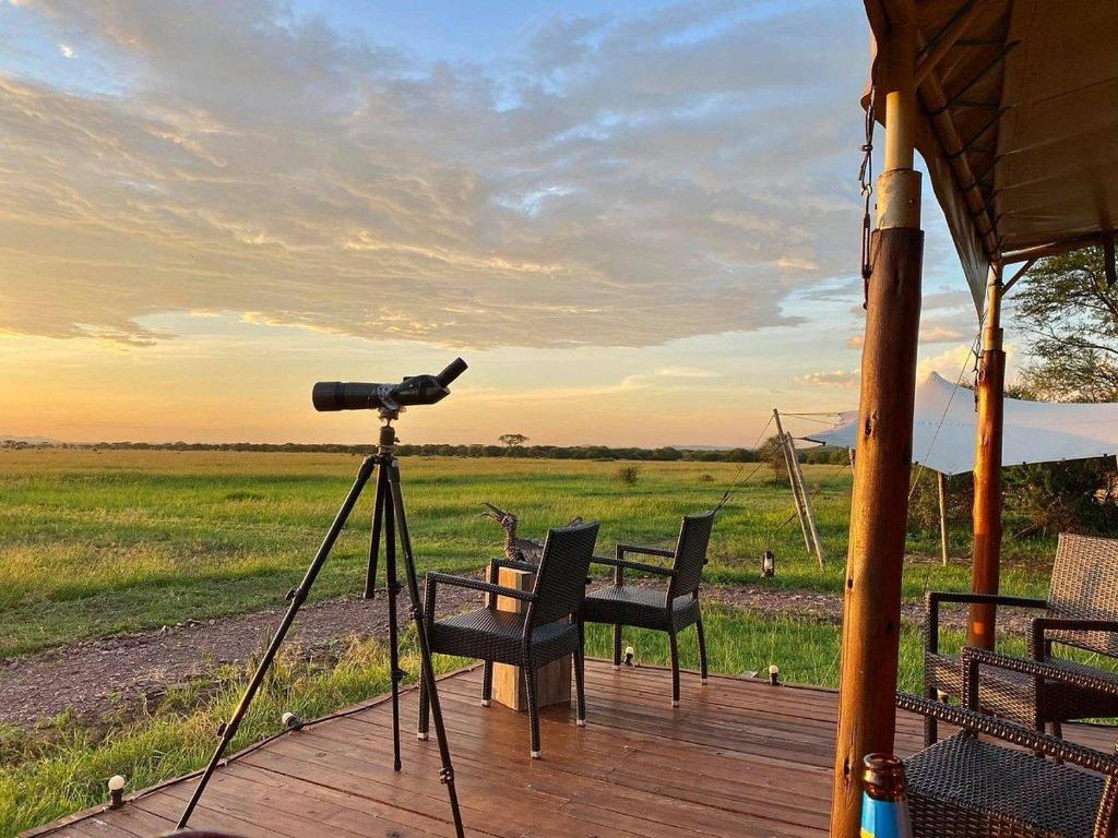 A professional camera on a tripod at a safari lodge, overlooking the Serengeti plains.