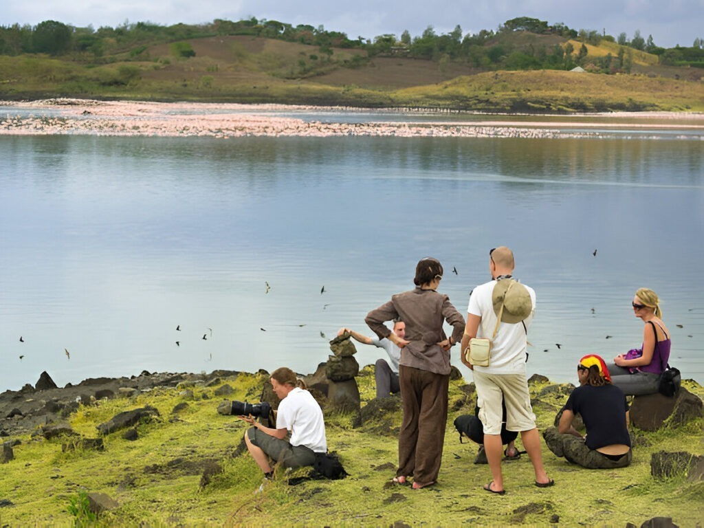 Flamingos and water birds at Lake Manyara on Tanzania group safari