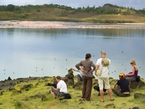 Flamingos and water birds at Lake Manyara on Tanzania group safari