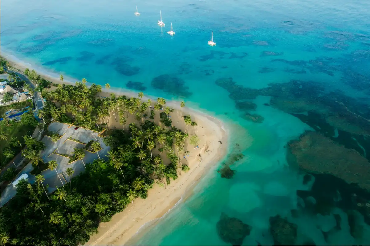 Zanzibar Beach Escape