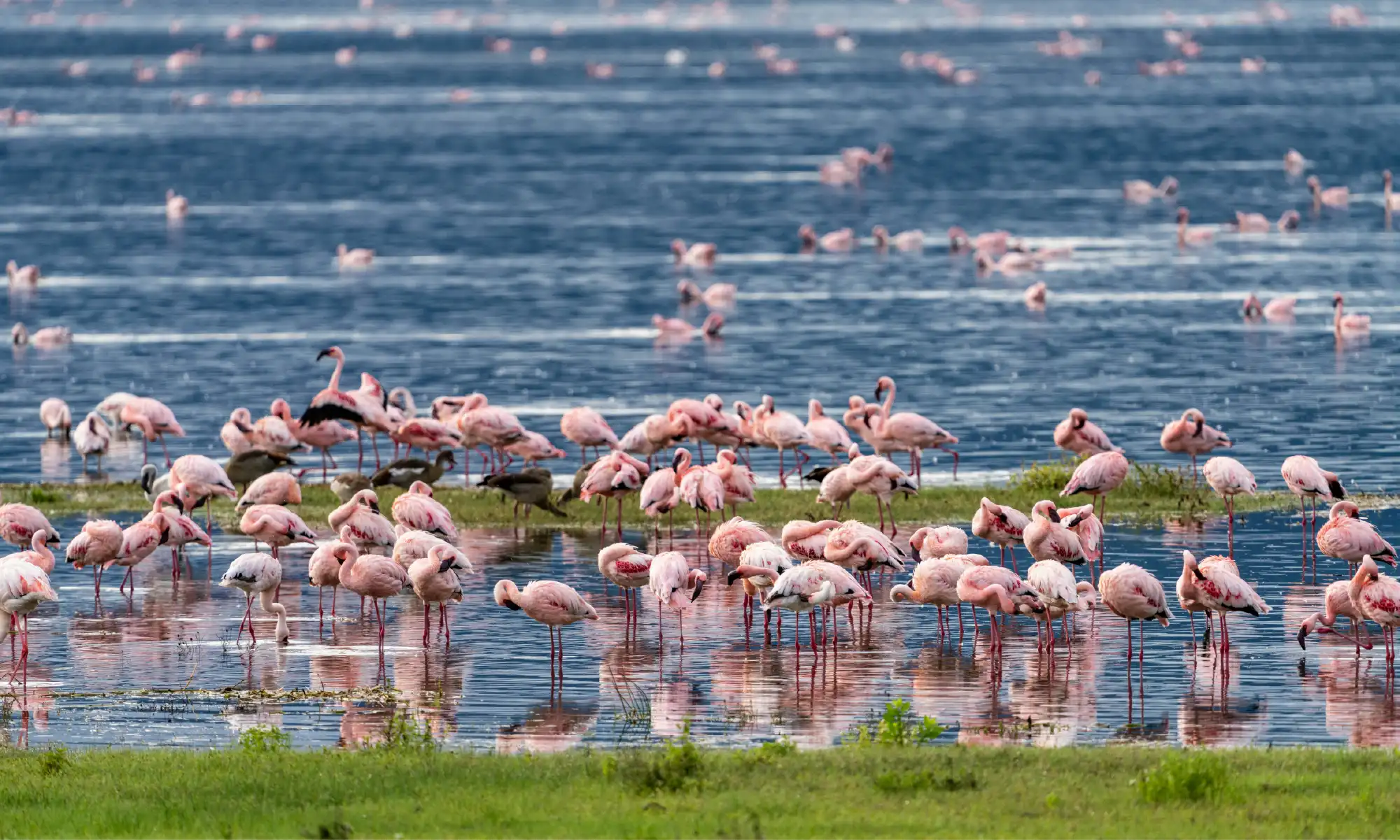 3 Day Ngorongoro