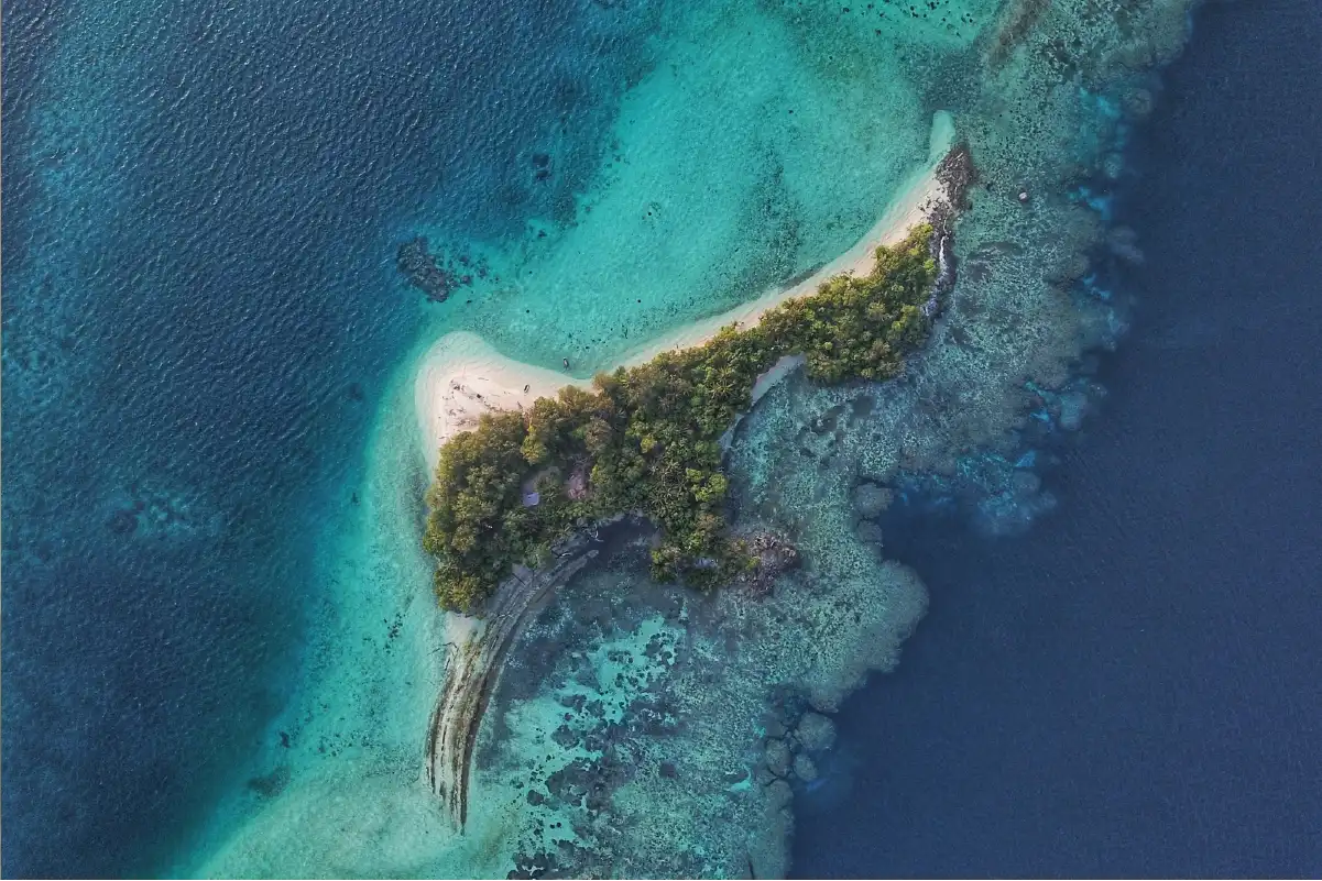 Zanzibar AFCON Safari