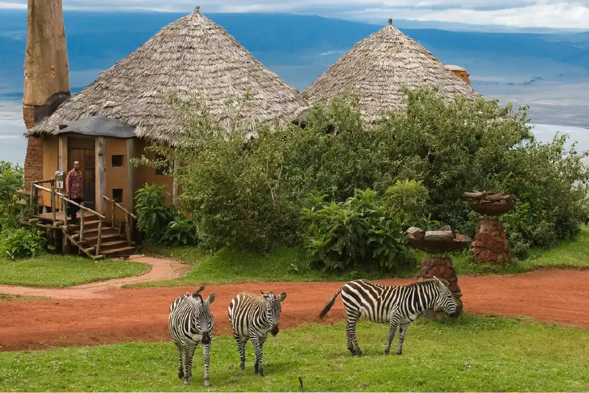 Luxury Safari Tanzania