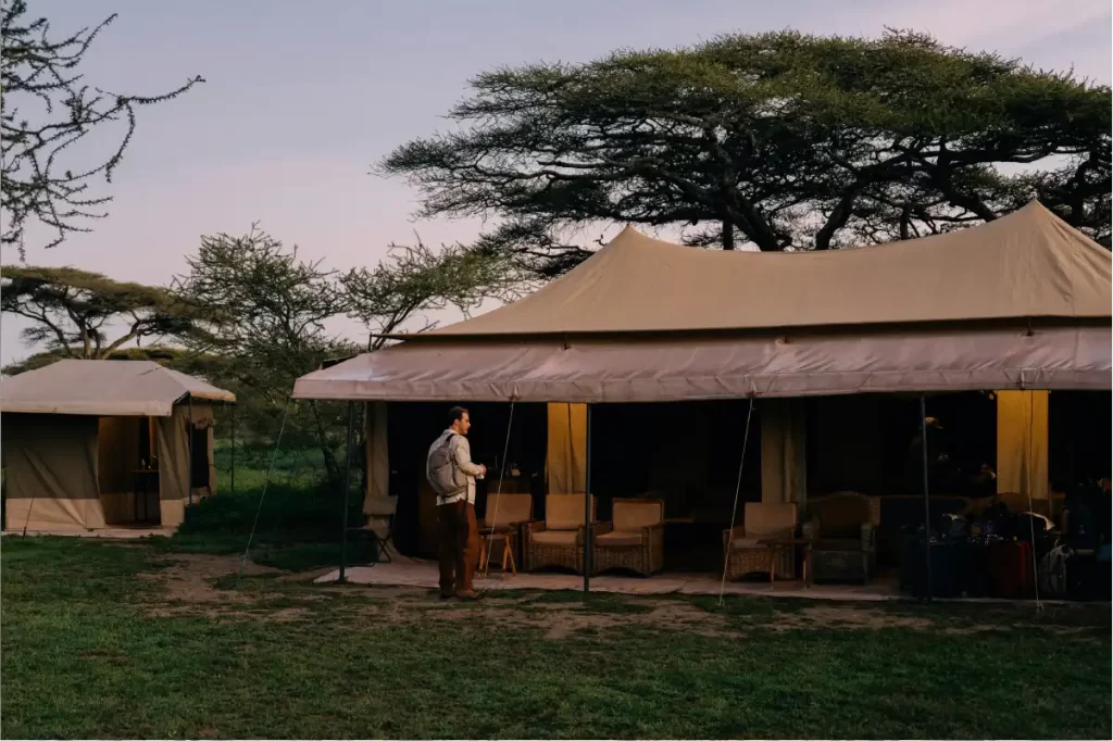 Serengeti safari packages