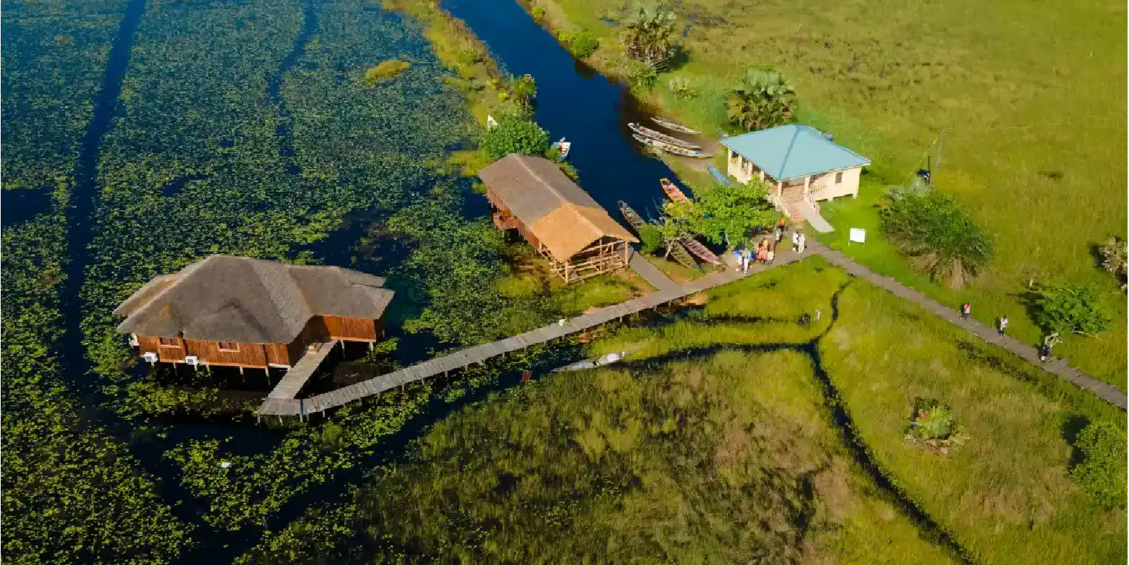 Eco Tourism Tanzania lodge with solar panels and green vegetation