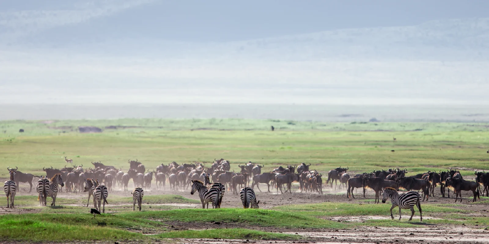 5-Day Tanzania safari