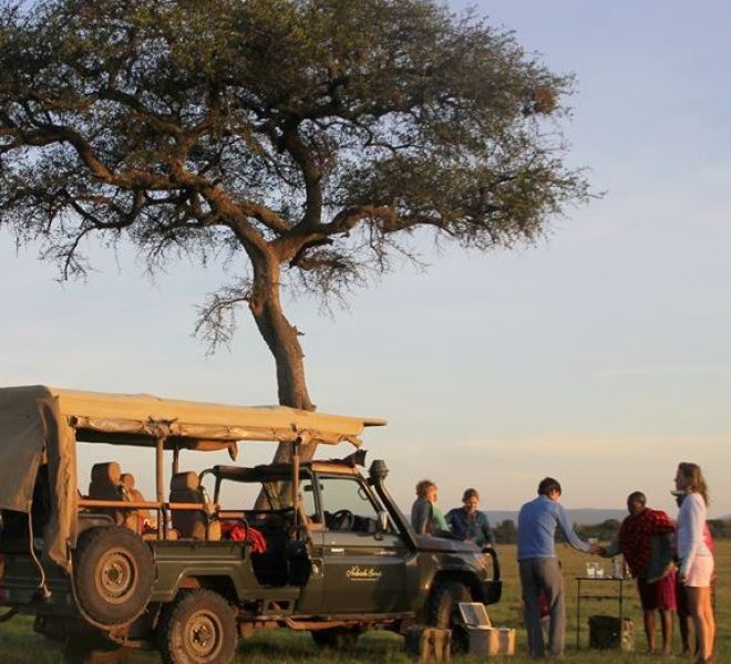 family-safari-2